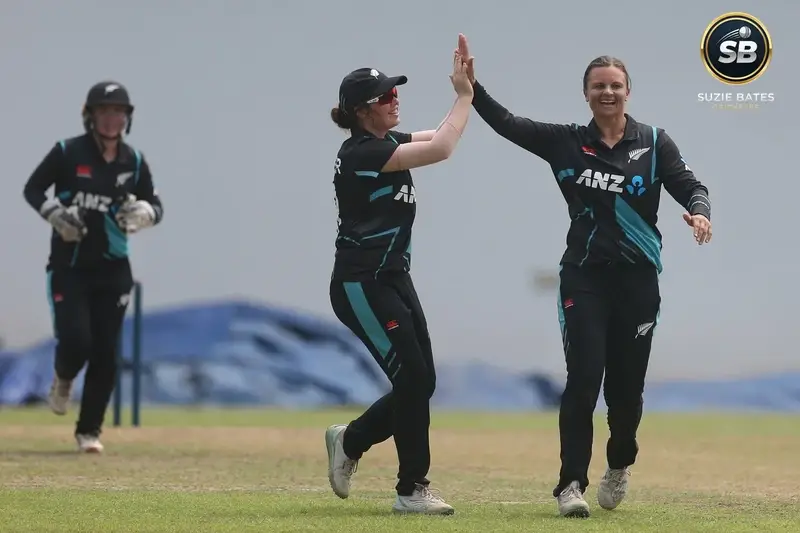 Domestic Cricket (Vitality Blast)